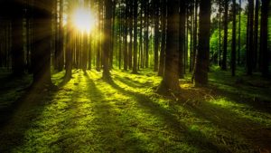 Marketing-to-AECs-Greenbuild17-Lessons-Learned