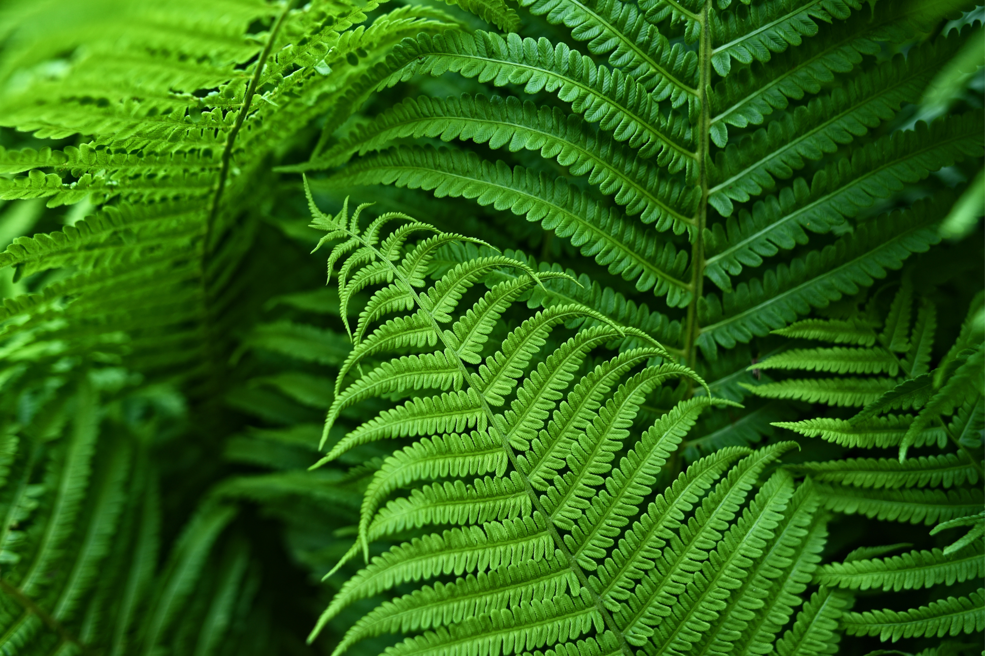 Futuristic materials and processes like biophilic design that bring the outside in are already being used in the building industry, but you’ll see them used much more often.
